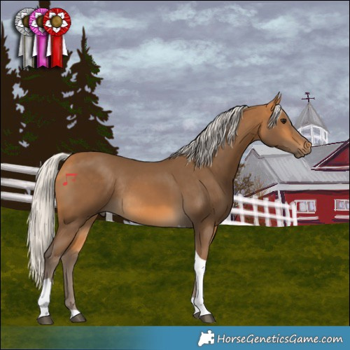 Horse Color:Silver Buckskin Tobiano Rabicano