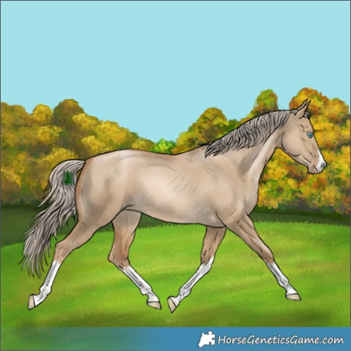 Horse Color:White Spotted Chocolate Palomino Pearl Dun