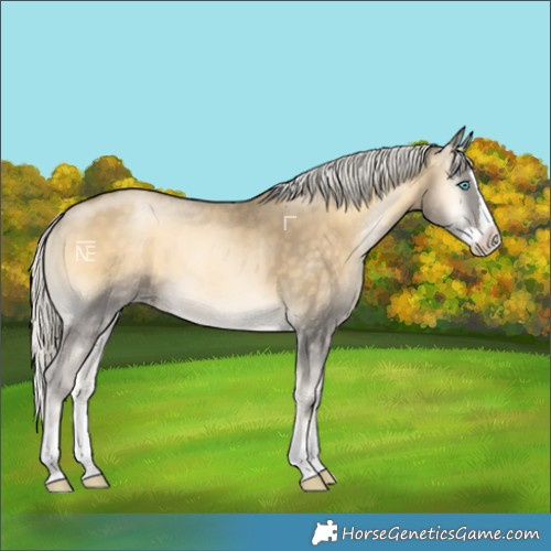 Horse Color:Silver Buckskin Pearl Onyx Splash