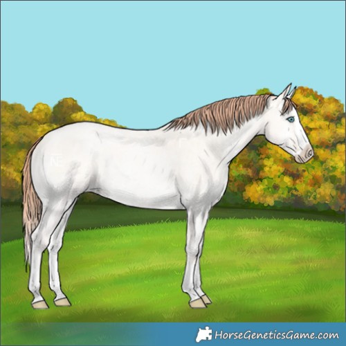 Horse Color:Classic Cream Champagne Roan Pearl Onyx Splash 