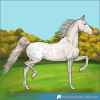Horse Color:Smoky Creme Blanket