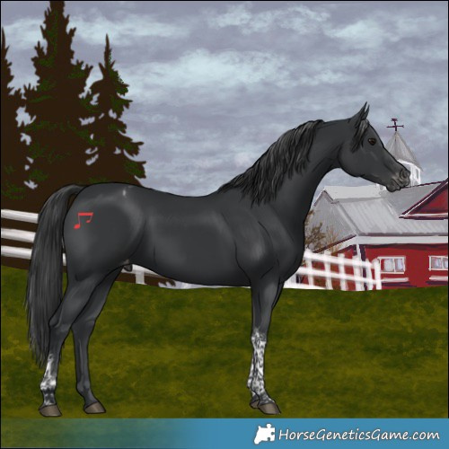 Horse Color:Black Tobiano Varnish