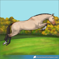 Horse Color:Bay Dun