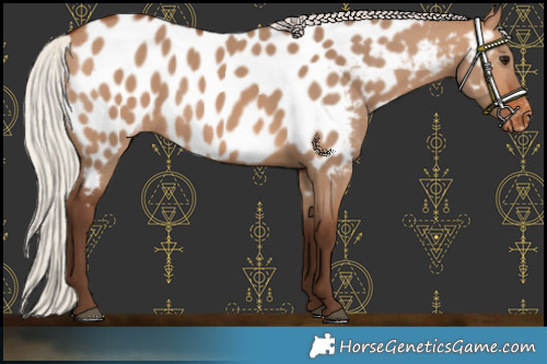 Horse Color:Silver Brown Dun Near Leopard