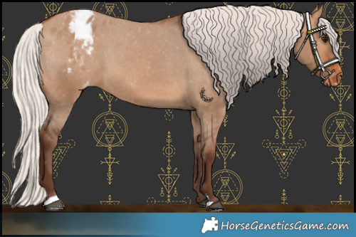 Horse Color:Silver Brown Dun Varnish 
