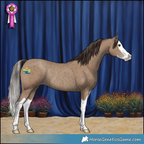 Horse Color:Classic Champagne Splash Rabicano