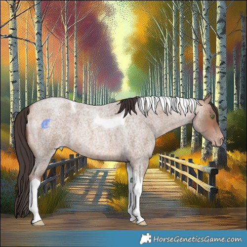 Horse Color:Sable Champagne Roan Tobiano