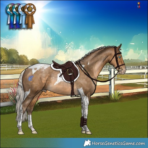 Horse Color:Gray Silver Buckskin Pearl Tobiano Varnish Rabicano 