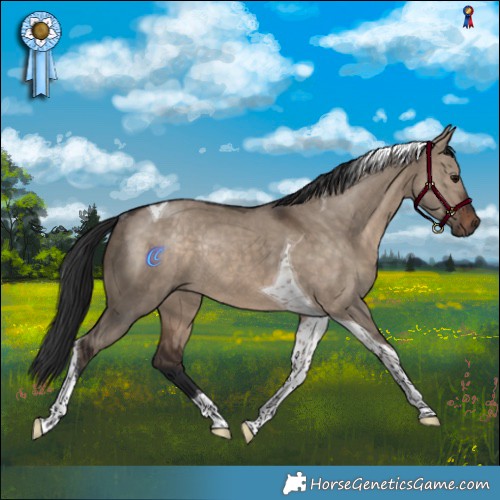 Horse Color:Brown Dun Tobiano Rabicano