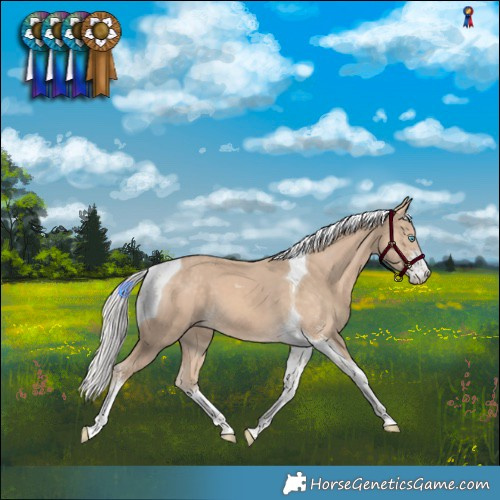 Horse Color:Silver Perlino Sabino Tobiano