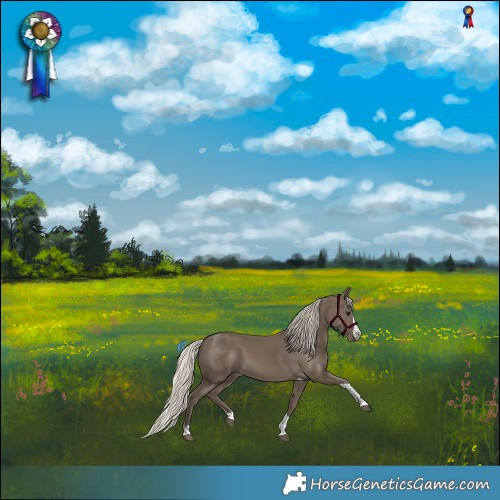 Horse Color:Silver Smoky Black Splash Tobiano