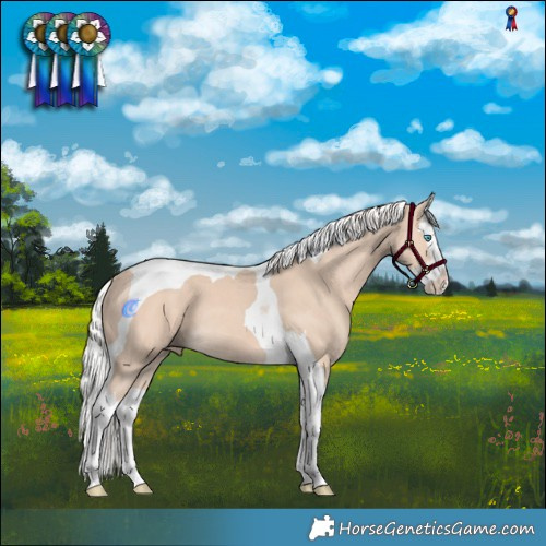 Horse Color:Silver Perlino Splash Tobiano 