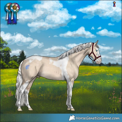 Horse Color:Silver Perlino Dun Splash Tobiano 