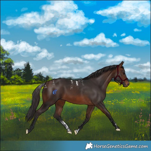 Horse Color:Powder White Brown 