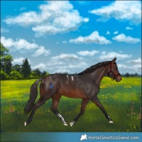 Horse Color:Powder White Brown