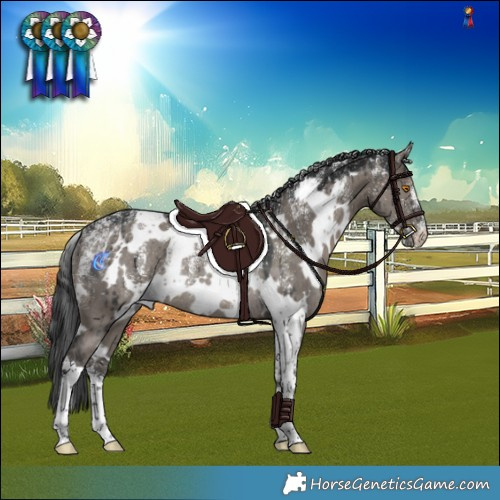 Horse Color:Powder White White Spotted Grullo Rabicano Brindle 