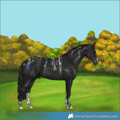 Horse Color:Powder White Gray Black