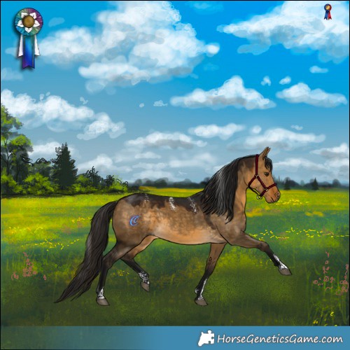 Horse Color:Powder White Gray Buckskin Dun Rabicano 