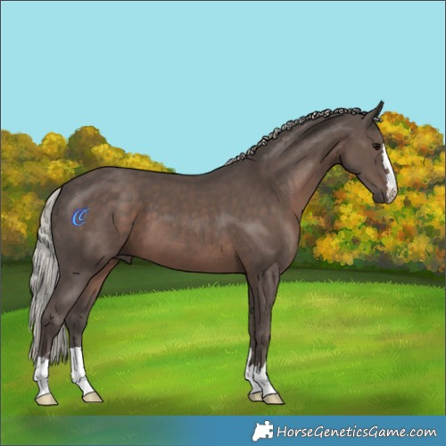 Horse Color:Silver Black 