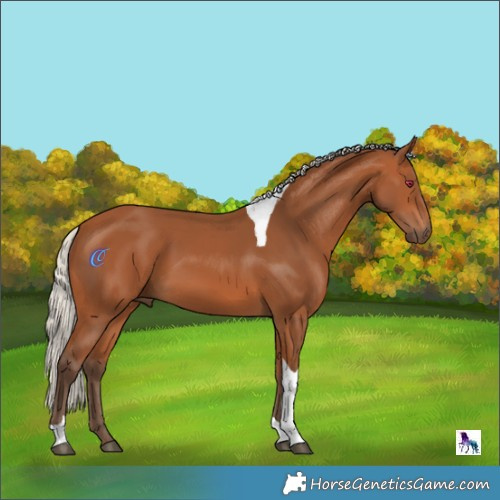 Horse Color:Silver Bay Tobiano Rabicano 