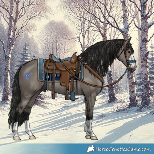 Horse Color:Gray Grullo Rabicano 