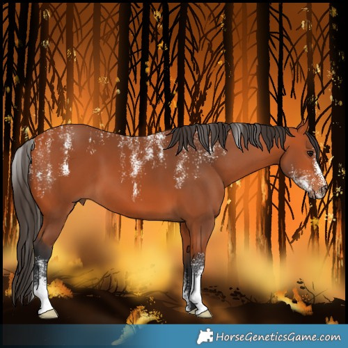 Horse Color:Powder White Bay