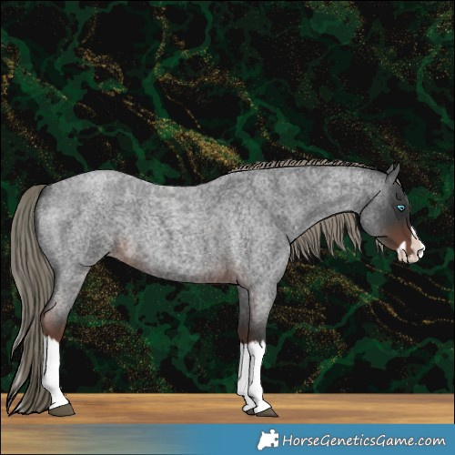 Horse Color:Liver Red Roan Mushroom Splash