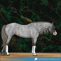 Horse Color:Liver Red Roan Mushroom Splash