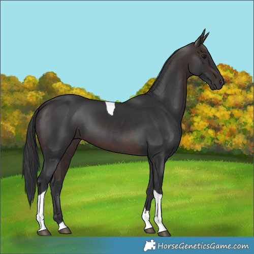 Horse Color:Brown Mushroom Tobiano 