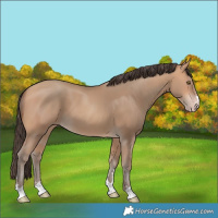 Horse Color:Amber Champagne