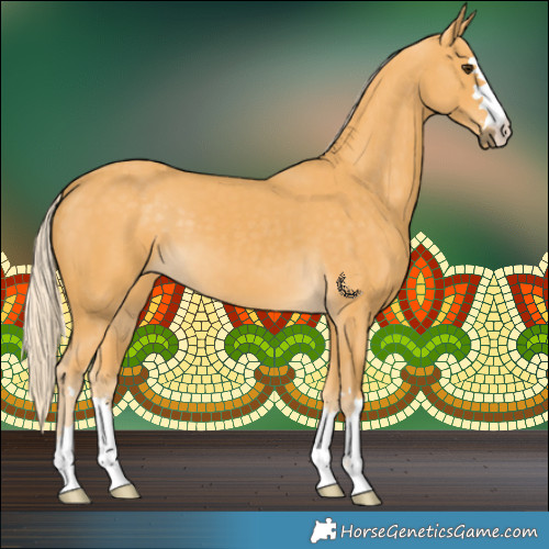 Horse Color:Palomino 