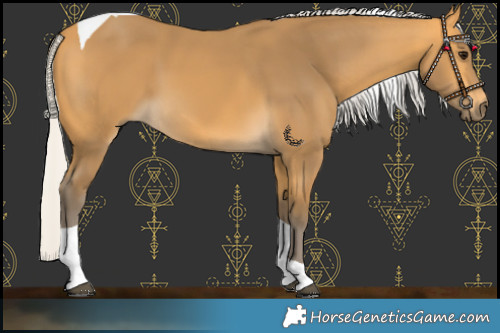 Horse Color:Silver Buckskin Tobiano
