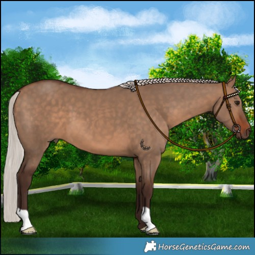 Horse Color:Silver Brown Dun