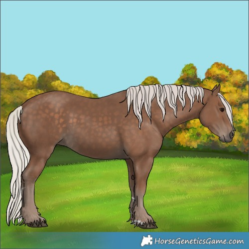 Horse Color:Silver Black 