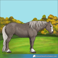 Horse Color:Silver Black