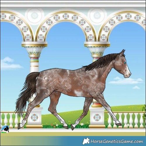 Horse Color:Liver Chestnut Ice Splash Tobiano