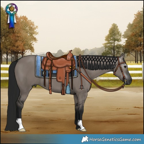 Horse Color:Gray Grullo 