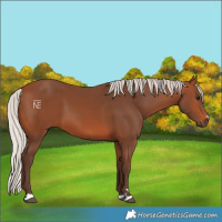 Horse Color:Silver Brown 