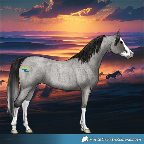 Horse Color:Gray Grullo Roan Splash Rabicano