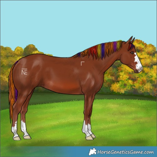 Horse Color:Painted Chestnut 