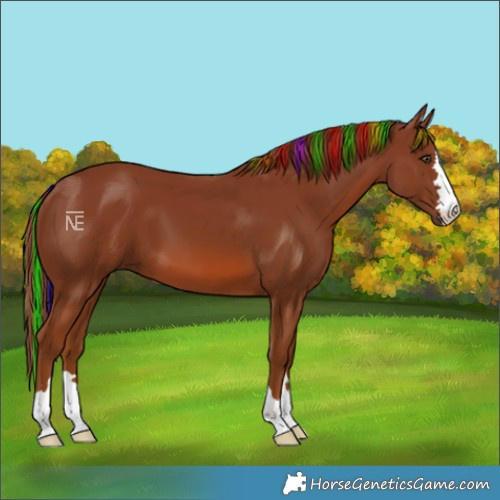 Horse Color:Painted Chestnut