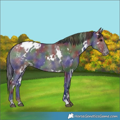 Horse Color:Nacre White Spotted Grullo Varnish