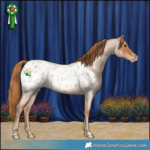 Horse Color:Red Roan Blanket