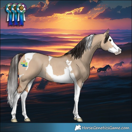 Horse Color:Bay Dun Splash Tobiano Rabicano 