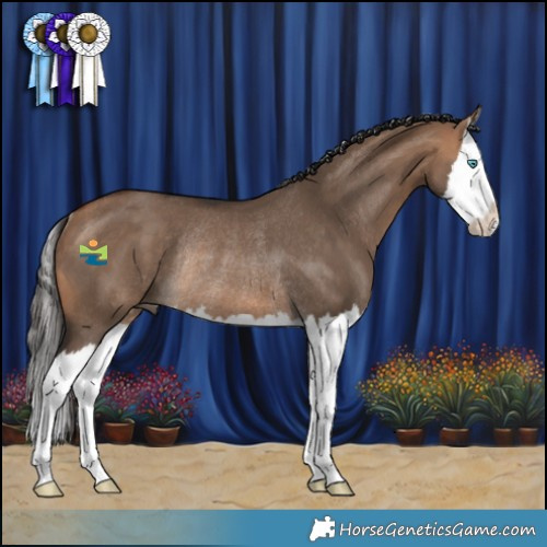 Horse Color:White Spotted Bay Dun Splash Rabicano 