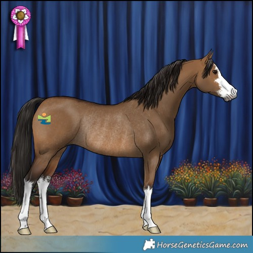 Horse Color:Gray White Spotted Bay Dun Rabicano