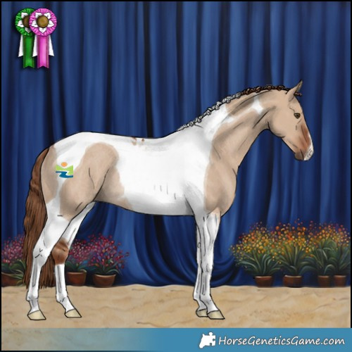 Horse Color:Red Dun Tobiano Rabicano