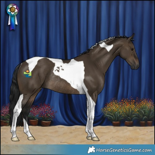 Horse Color:Gray Brown Dun Tobiano Rabicano