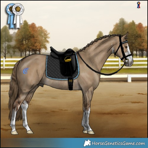 Horse Color:Gray White Spotted Liver Red Dun Rabicano 