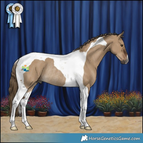 Horse Color:Gray Liver Red Dun Tobiano Rabicano 